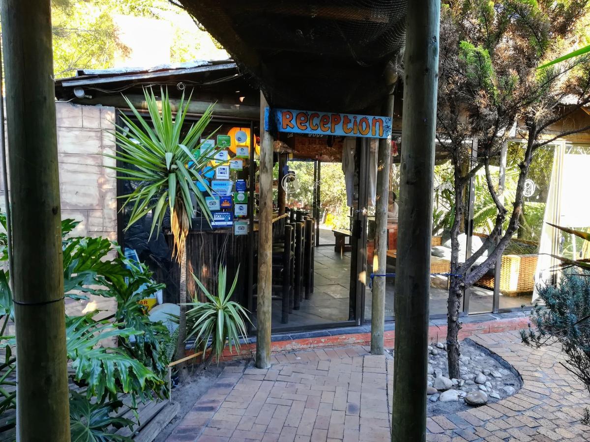 Saltycrax Backpackers And Surf Hostel By Curiocity Bloubergstrand Eksteriør bilde